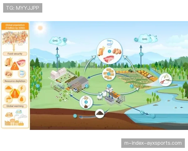 赛事资源循环利用加强 可持续品牌形象提升