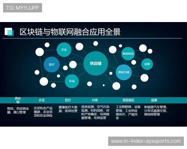 物联网标签在当前阶段普及 实现了场馆器材的资产全链追踪